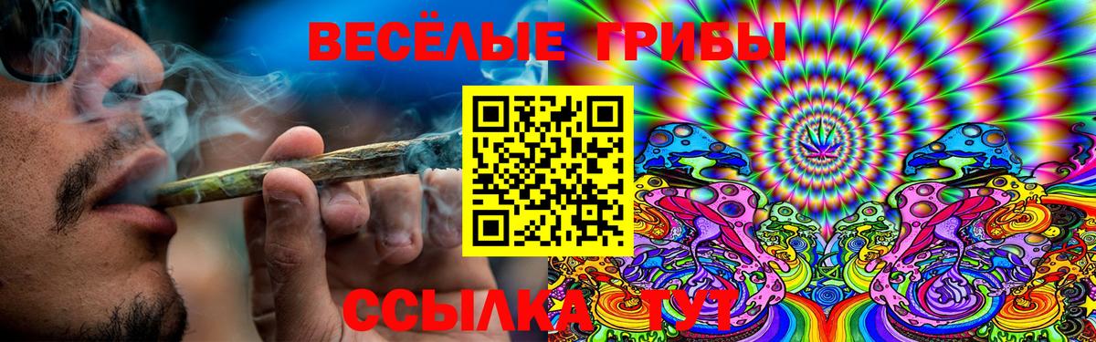Красноуфимск  купить  цена  Вход с VPN  Галлюциногенные грибы MAGIC MUSHROOMS 